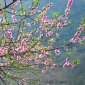 Kế hoạch tổ chức các hoạt động văn hóa thông tin tuyên truyền, văn nghệ, thể dục thể thao Mừng Đảng, Mừng Xuân Quý Mãonăm 2023 trên địa bàn xã