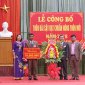 Thôn Bái Sậy, xã Hà Tiến: Tổ chức lễ đón nhận thôn đạt chuẩn NTM 2018