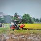Chuyển biến trong sản xuất nông nghiệp ở Thanh Hóa