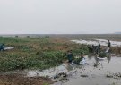 UBND xã Hà Tiến tổ chức thực hiện phát quang mái đê sông Hoạt và làm sạch sông Hoạt,tiếp tục thực hiện ra quân làm thủy lợi mùa khô năm 2024