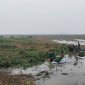UBND xã Hà Tiến tổ chức thực hiện phát quang mái đê sông Hoạt và làm sạch sông Hoạt,tiếp tục thực hiện ra quân làm thủy lợi mùa khô năm 2024